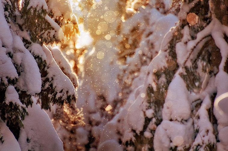 foto-5.jpg
