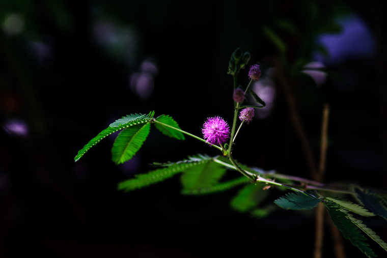 IMG_7624.jpg