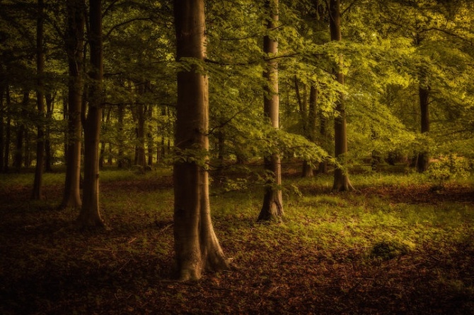 leeacaster2-670x446.jpg
