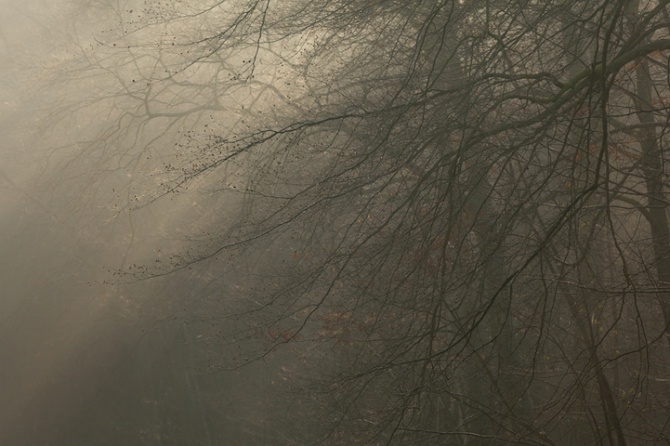 leeacaster4-670x446.jpg