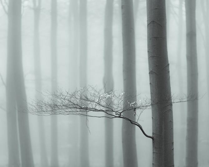 leeacaster10-670x536.jpg