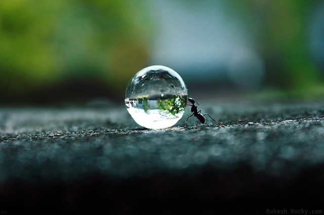 500px-08-640x426.jpeg