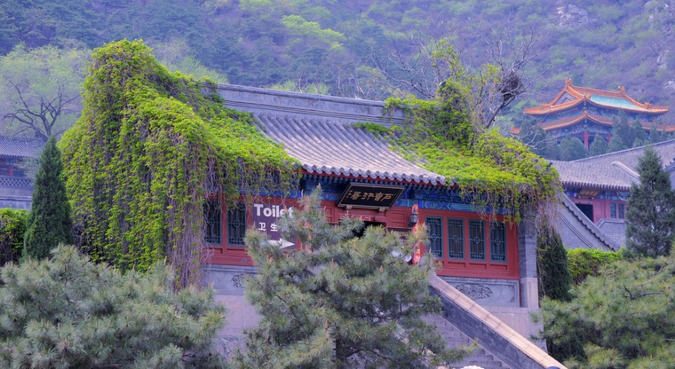 JPG_5466_副本.jpg