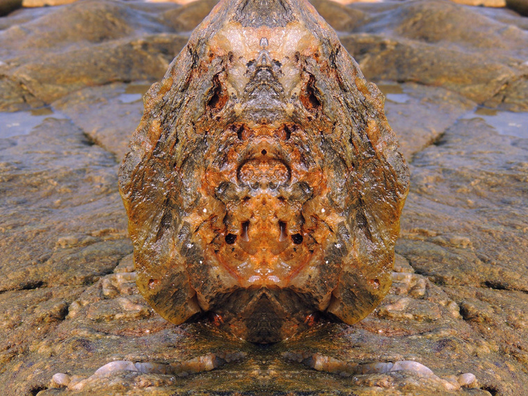 DSCN6937_副本.jpg