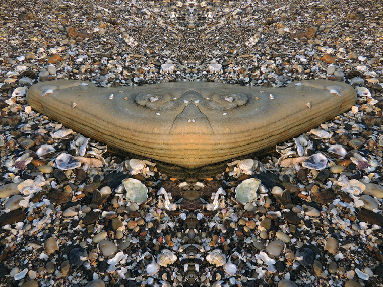 DSCN6950_副本.jpg