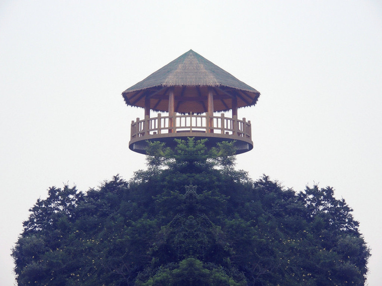 DSCN6953_副本.jpg