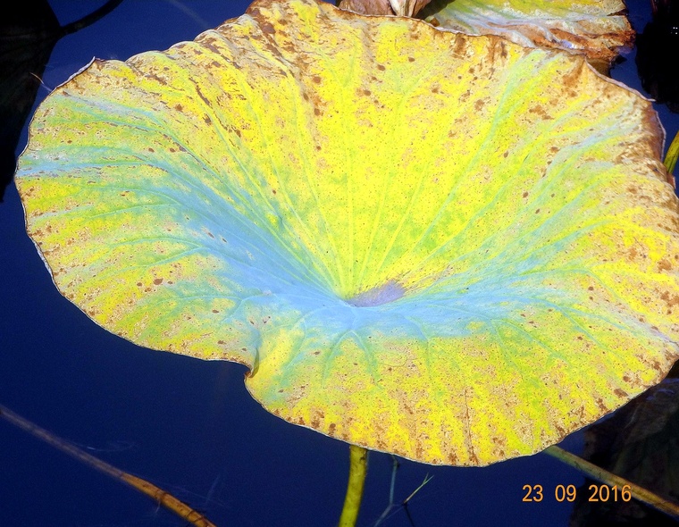 DSC03860_副本.jpg