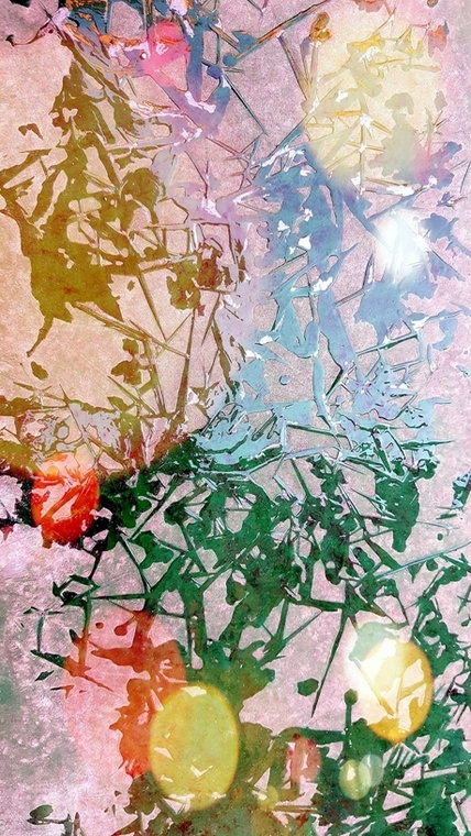 25-20161026_084133.jpg