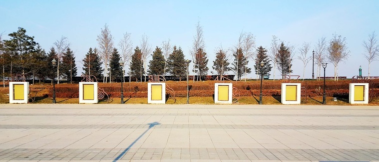 20161106_084754.jpg