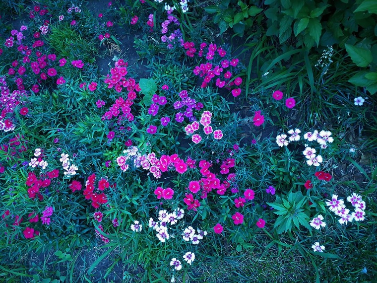 IMG_20170702_142732.jpg