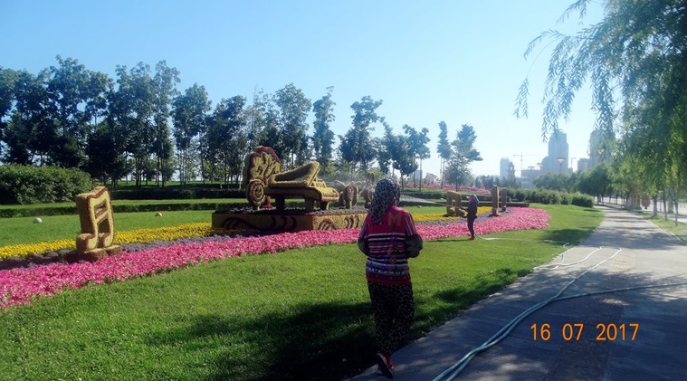 DSC07916_副本.jpg