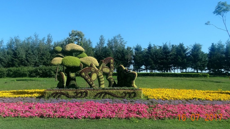 DSC07924_副本.jpg