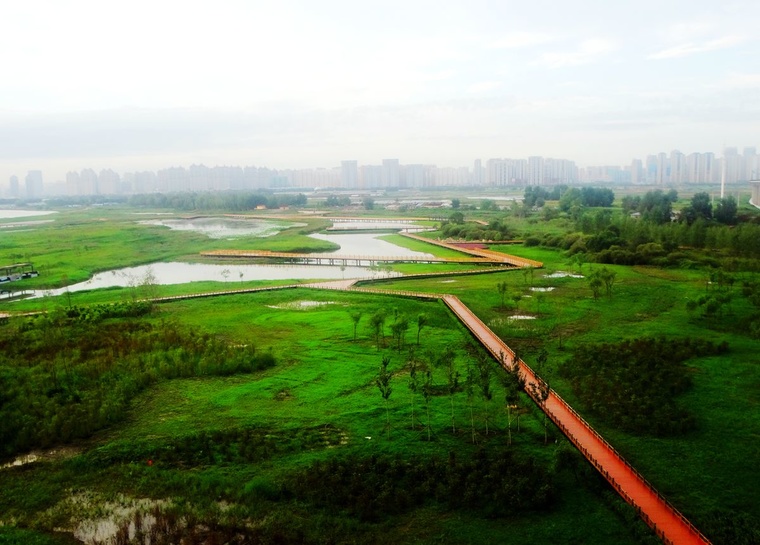 DSC08084_副本.jpg