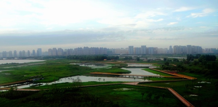 DSC08086_副本.jpg