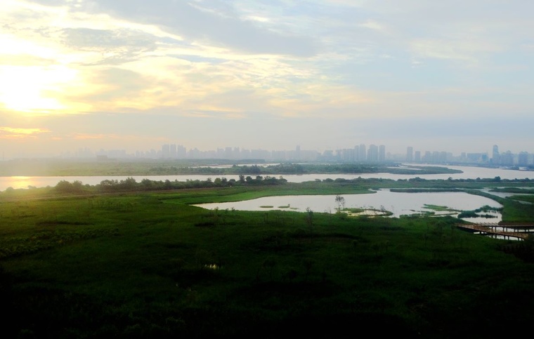 DSC08087_副本.jpg