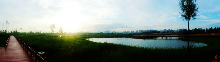 DSC08107_副本.jpg
