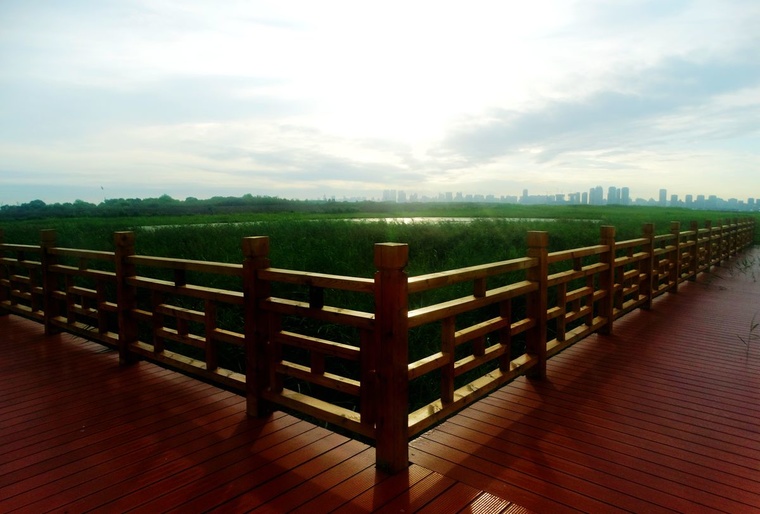 DSC08155_副本.jpg
