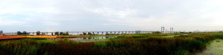 DSC08156_副本.jpg