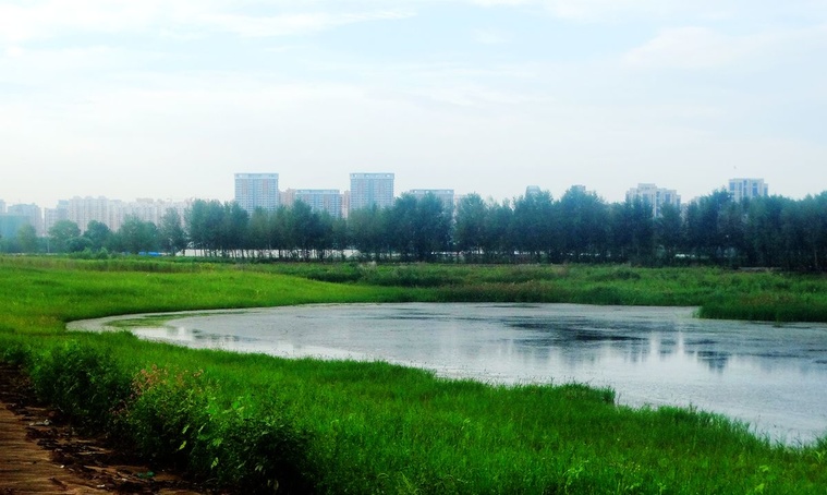 DSC08163_副本.jpg