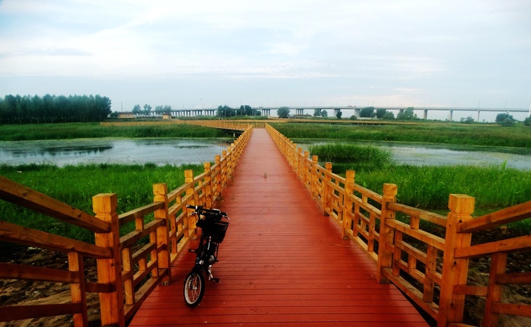 DSC08164_副本.jpg