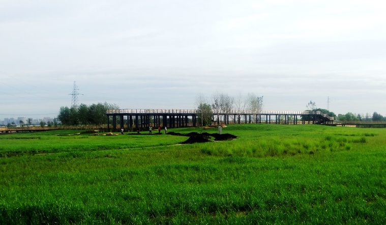 DSC08174_副本.jpg