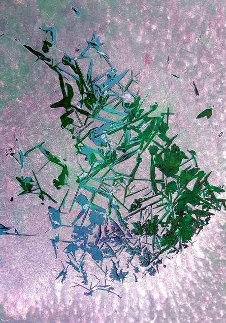 27-20161026_084249.jpg