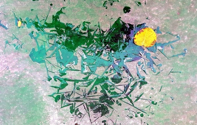 33-20161026_084720.jpg