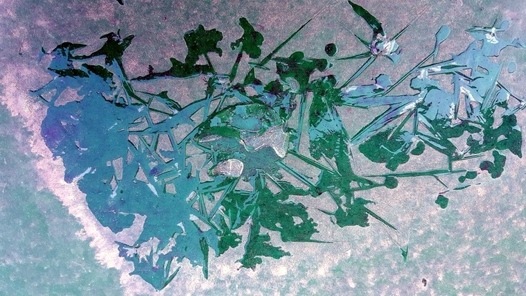 12-20161026_081907.jpg