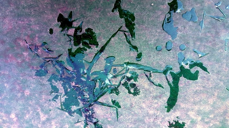 13-20161026_081922.jpg