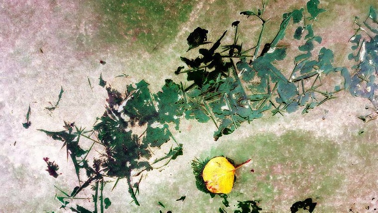 14-20161026_081939_副本.jpg