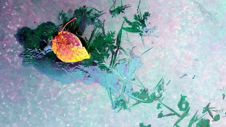 15-20161026_082411.jpg