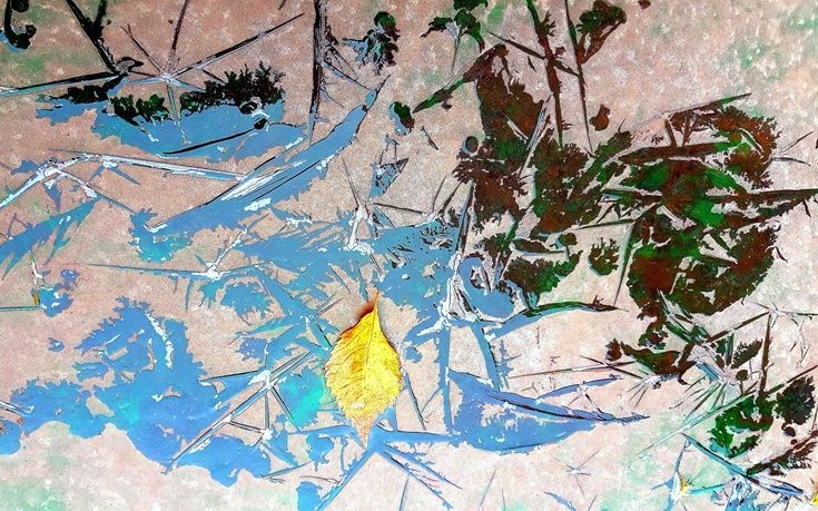 17-20161026_083630_副本.jpg