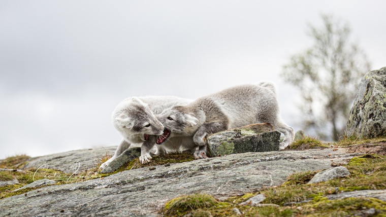 Cecilie-photo21.jpg