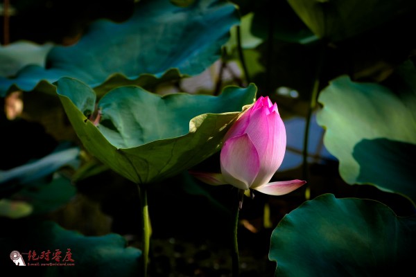 IMG_5671.jpg