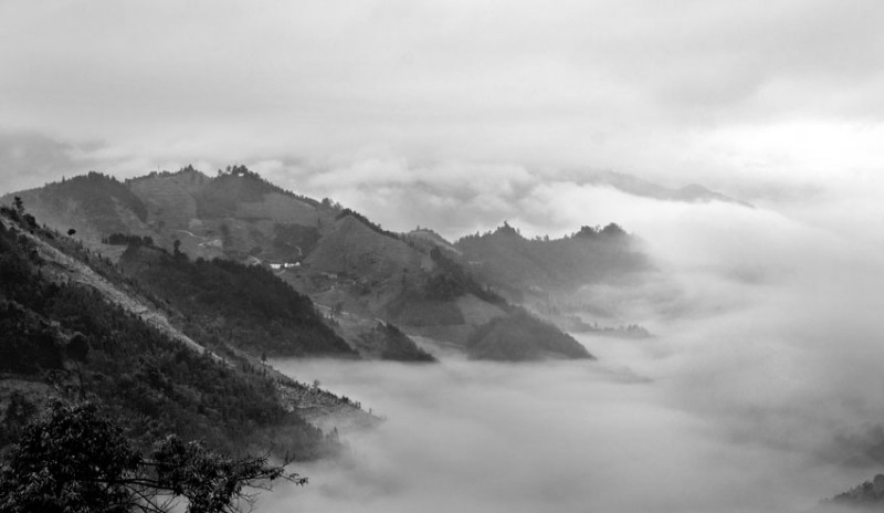 DSC_4786.jpg
