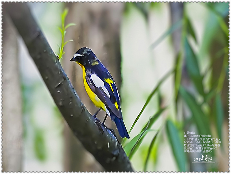 江山无限摄于20120501-1086.jpg