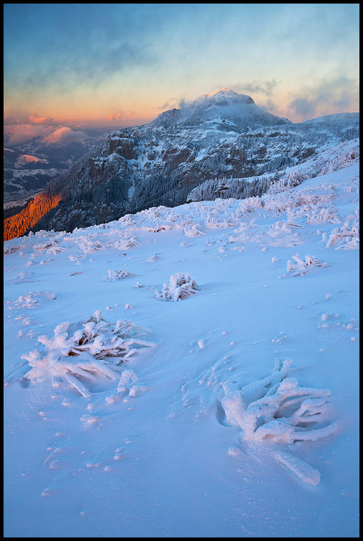 12830452-lg.jpg