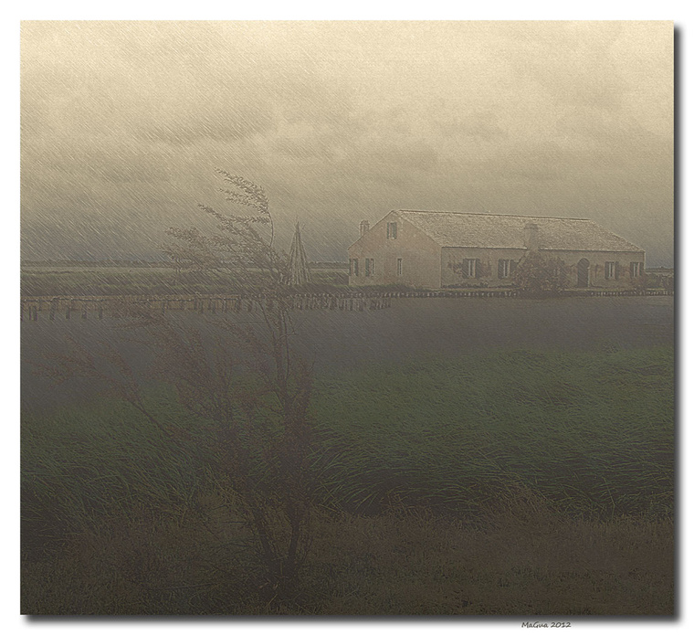 rain-2.jpg