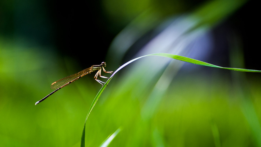 DSC_5662副本.jpg