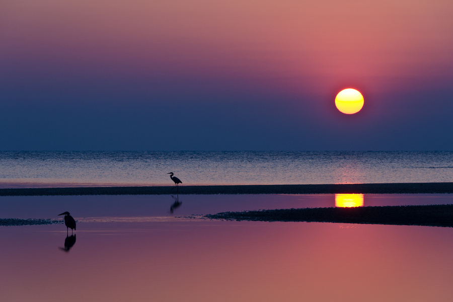 sunrise.jpg