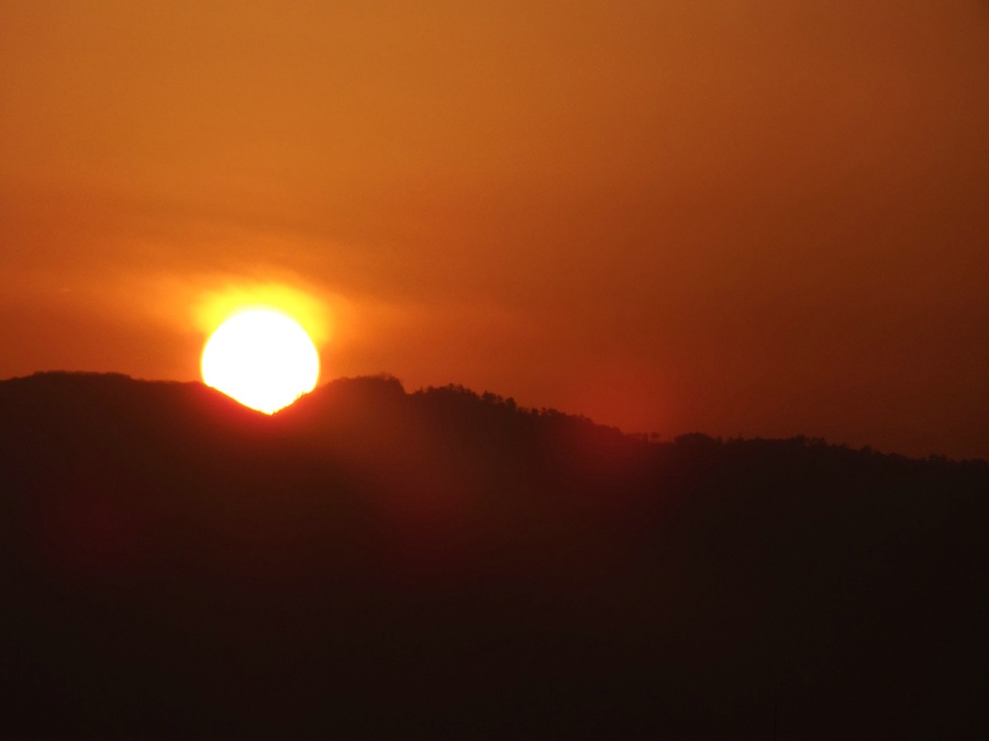DSCF0518.JPG