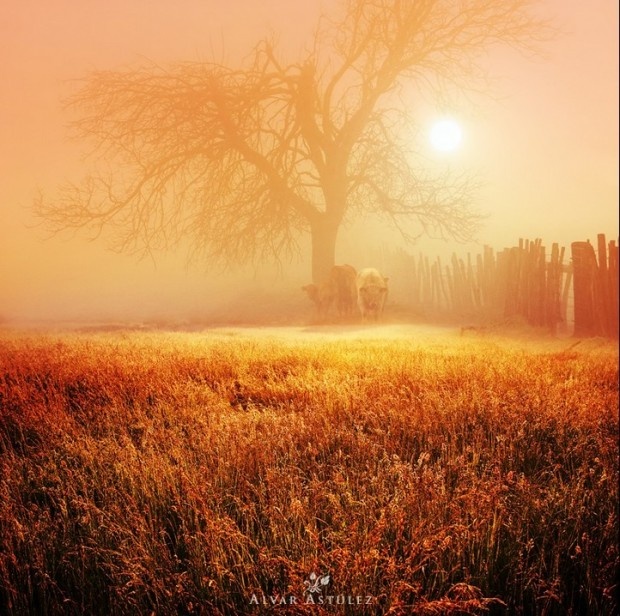 77982013111414210328678413.jpg