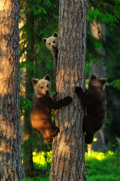nationalgeographic00.jpg