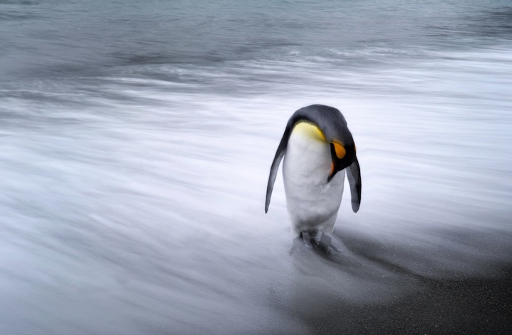 nationalgeographic04.jpg
