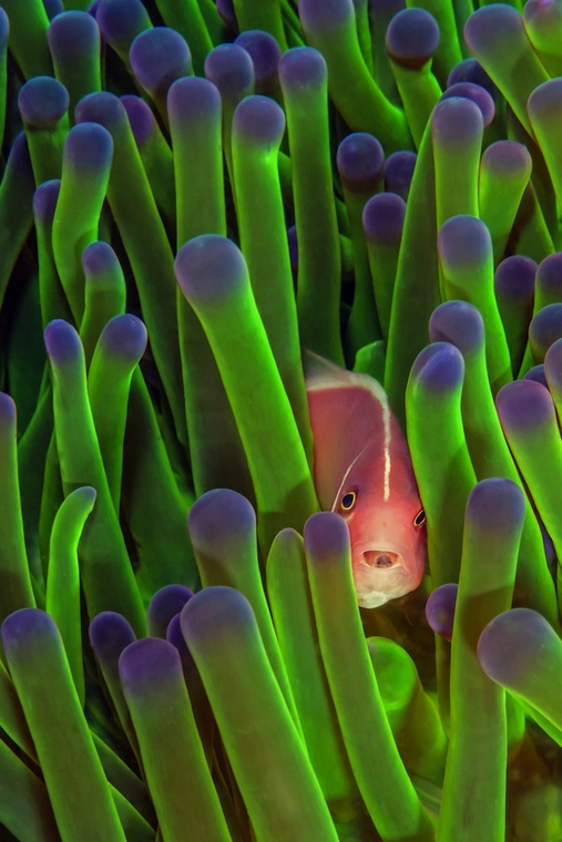 nationalgeographic06.jpg