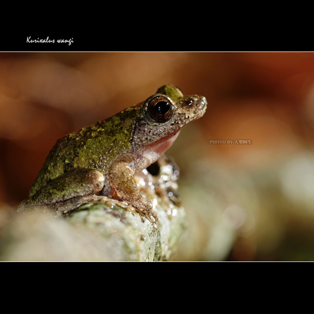 8652463b5f0f935cba927a73afd07a17.jpg