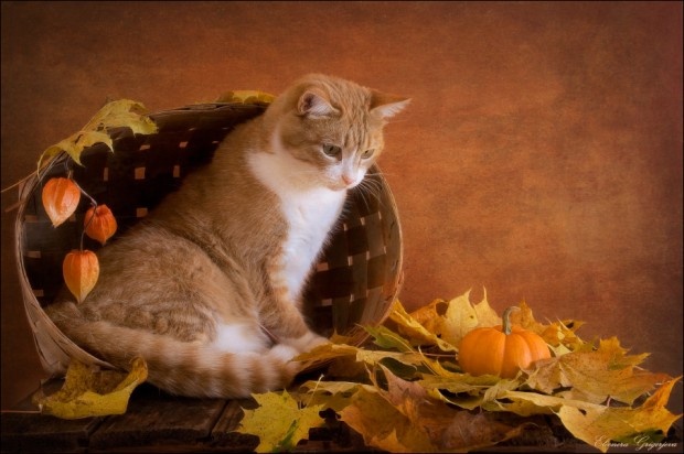20131115090833869.jpg