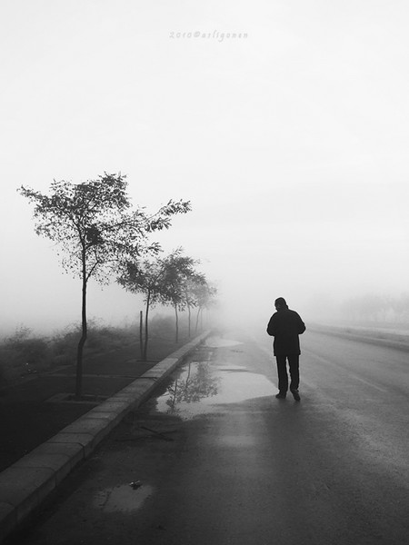 another_foggy_day.jpg