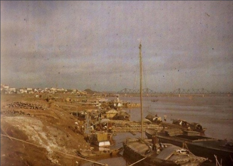 scan 003.jpg