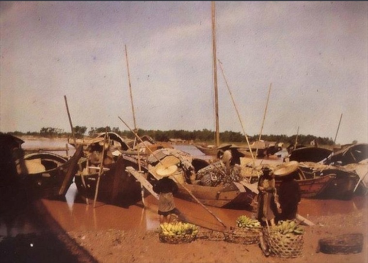 scan 009.jpg